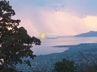 Οικόπεδο 12.300 τ.μ. για πώληση, Μεσσηνία, Λεύκτρος-thumb-2