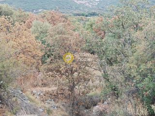 Οικόπεδο 12.300 τ.μ. για πώληση, Μεσσηνία, Λεύκτρος-thumb-3