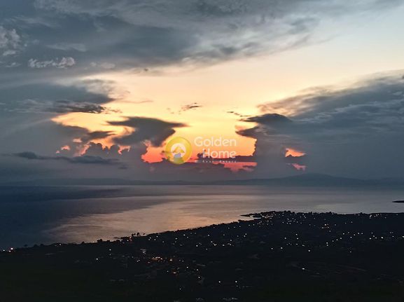 Οικόπεδο 12.300 τ.μ. για πώληση, Μεσσηνία, Λεύκτρος