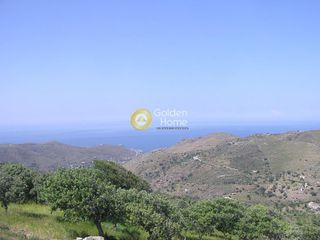 Αγροτεμάχια 7.800 τ.μ. για πώληση