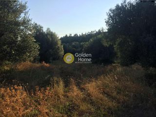 Αγροτεμάχια 13.000 τ.μ. για πώληση