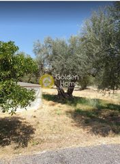 Οικόπεδο 465 τ.μ. για πώληση, Αχαΐα, Μεσσατίδα-thumb-8
