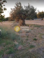 Οικόπεδο 465 τ.μ. για πώληση, Αχαΐα, Μεσσατίδα-thumb-5