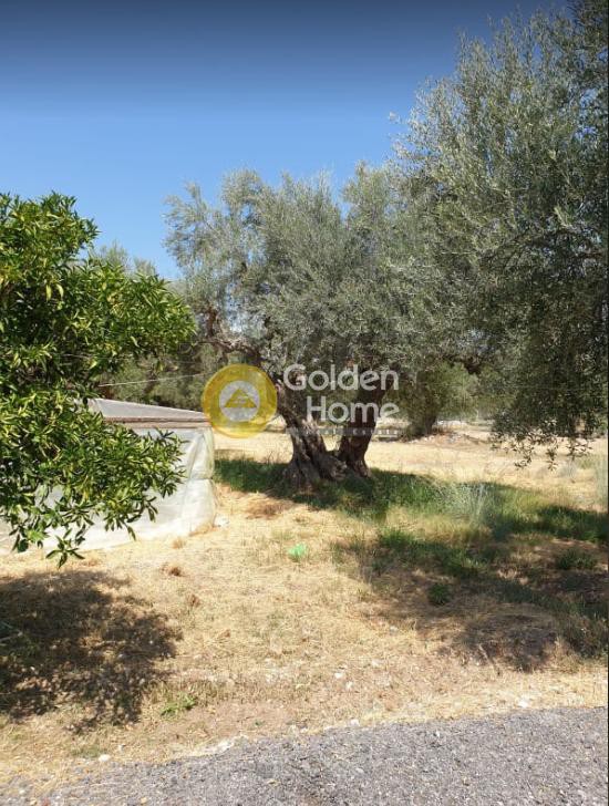 Οικόπεδο 465 τ.μ. προς πώληση, Μαυρομανδήλα