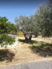 Οικόπεδο 465 τ.μ. για πώληση, Αχαΐα, Μεσσατίδα-thumb-4