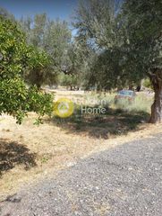 Οικόπεδο 465 τ.μ. για πώληση, Αχαΐα, Μεσσατίδα-thumb-7