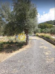 Οικόπεδο 465 τ.μ. για πώληση, Αχαΐα, Μεσσατίδα-thumb-6