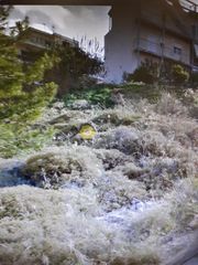 Land plot 197 sqm for sale