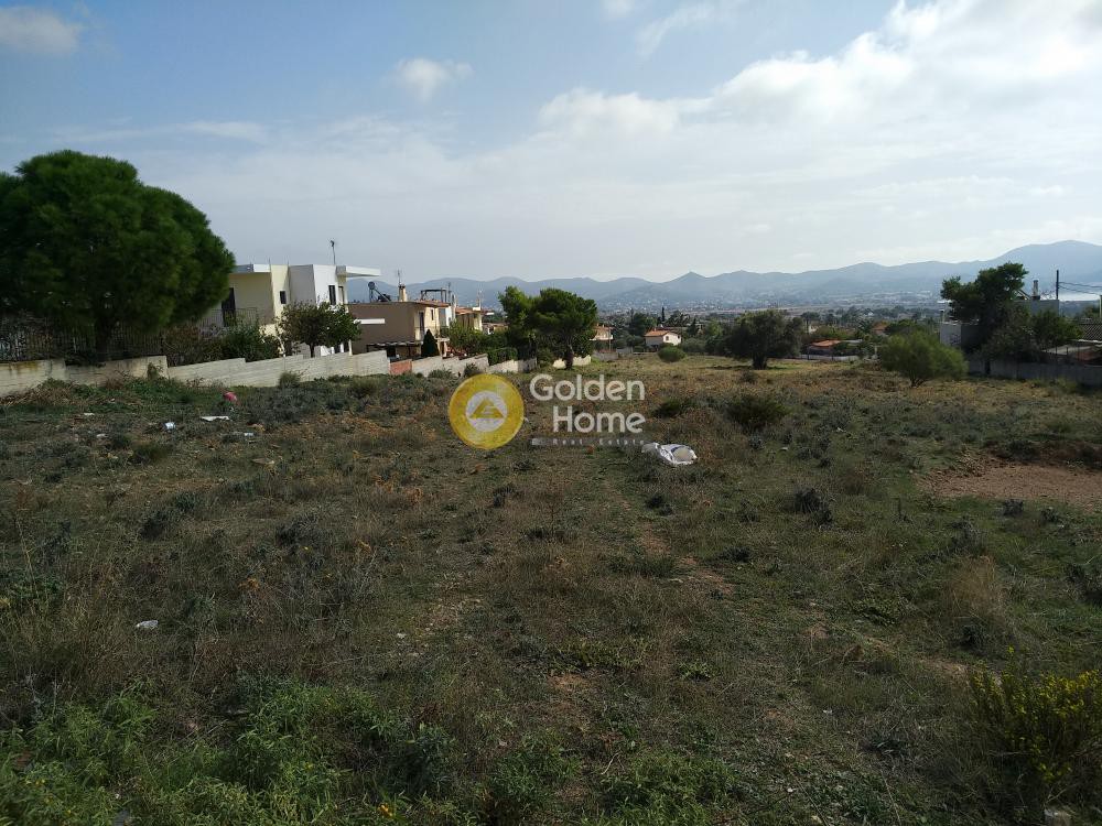 Οικόπεδο 8.700 τ.μ. προς πώληση, Μαύρο Λιθάρι