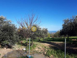 Οικόπεδο 1.250 τ.μ. για πώληση, Ν. Ηρακλείου, Ηράκλειο Κρήτης-thumb-6