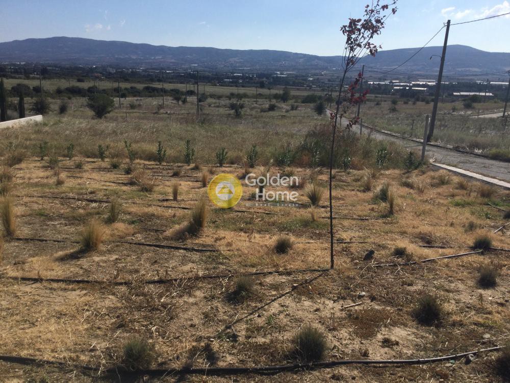 Οικόπεδο 406 τ.μ. προς πώληση, Λουτρά Θέρμης