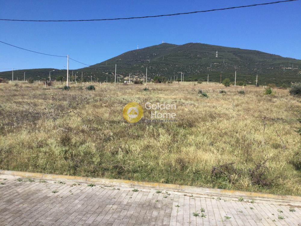 Οικόπεδο 406 τ.μ. προς πώληση, Λουτρά Θέρμης
