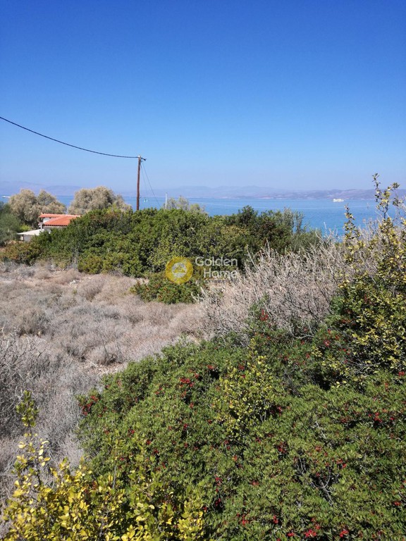Οικόπεδο 4.823 τ.μ. προς πώληση, Κυψέλη Αίγινας