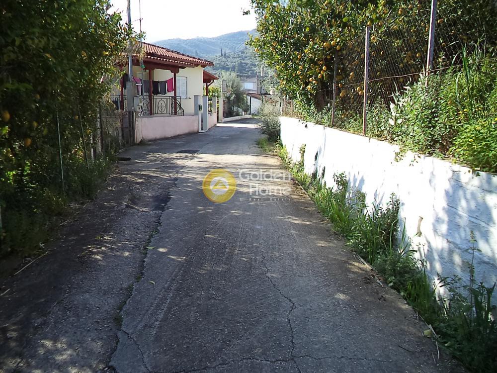Αγροτεμάχια 2.725 τ.μ. προς πώληση, Ριζόμυλος Διακοπτού