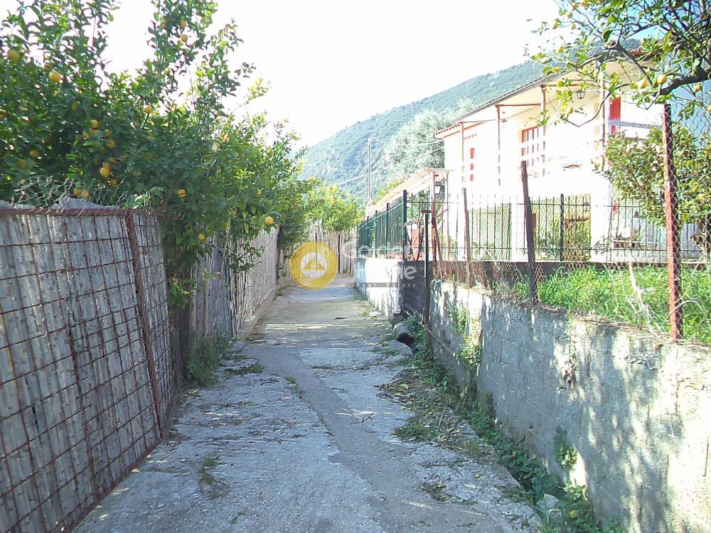 Αγροτεμάχια 2.725 τ.μ. προς πώληση, Ριζόμυλος Διακοπτού