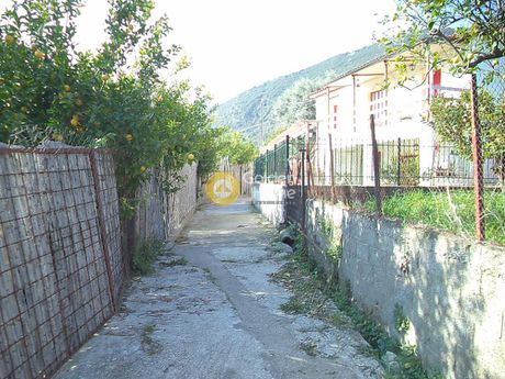 Αγροτεμάχια 2.725τ.μ. για πώληση-Διακοπτό » Ριζόμυλος
