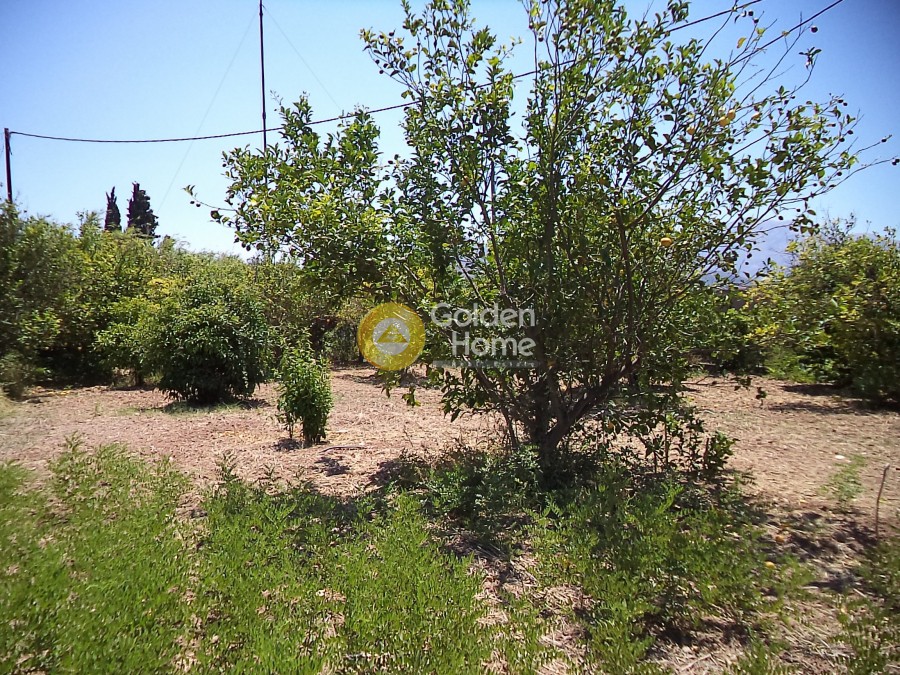 Οικόπεδο 600 τ.μ. προς πώληση, Κουλούρα Αιγίου