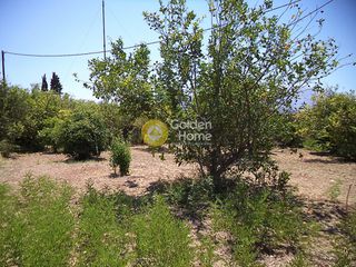 Οικόπεδο 600 τ.μ. για πώληση, Αχαΐα, Αίγιο-thumb-3