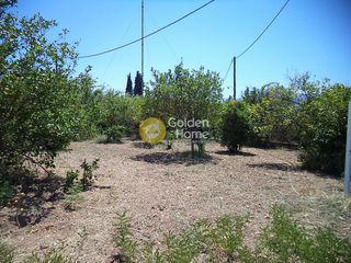 Οικόπεδο 600 τ.μ. για πώληση, Αχαΐα, Αίγιο-thumb-4
