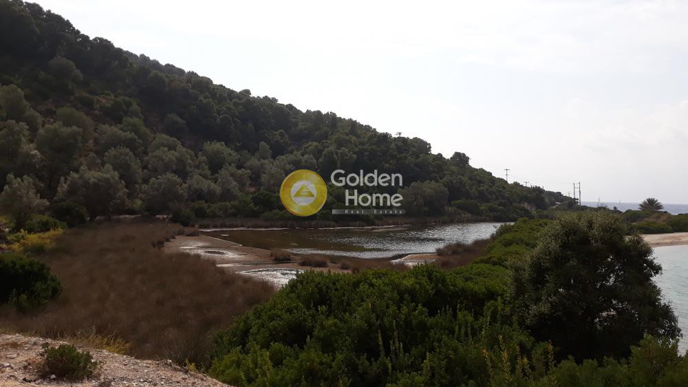 Αγροτεμάχια 6.606 τ.μ. προς πώληση, Χώρα Μεγανησίου