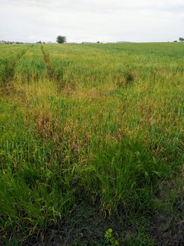 Parcel 6.600sqm for sale-Thermi » Triadio
