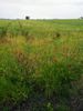 Parcel 6.600sqm for sale-Thermi » Triadio