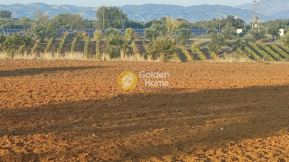 Αγροτεμάχια 17.500 τ.μ. προς πώληση, Κάτω Μαζαράκι