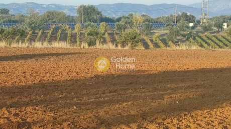 Parcel 17.500sqm for sale-Olenia » Kato Mazaraki