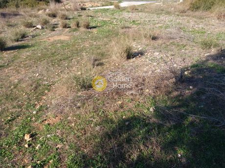 Parcel 1.800.000sqm for sale-Asini » Karnezeika