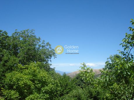 Parcel 4.600sqm for sale-Thasos » Kalives