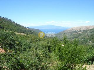Αγροτεμάχια 4.600 τ.μ. προς πώληση, Ν. Καβάλας, Θάσος-thumb-1