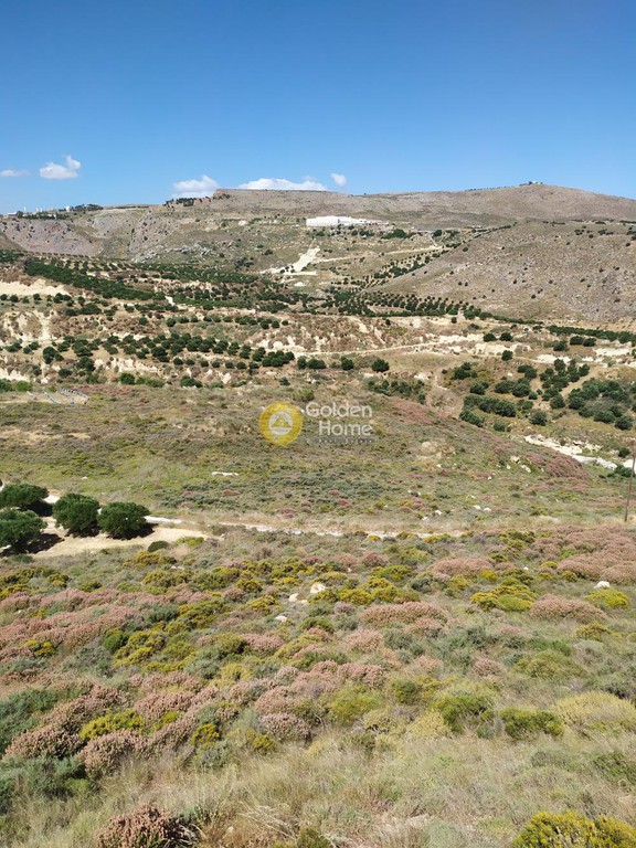 Οικόπεδο 13.000 τ.μ. προς πώληση, Κέντρο Γουβών