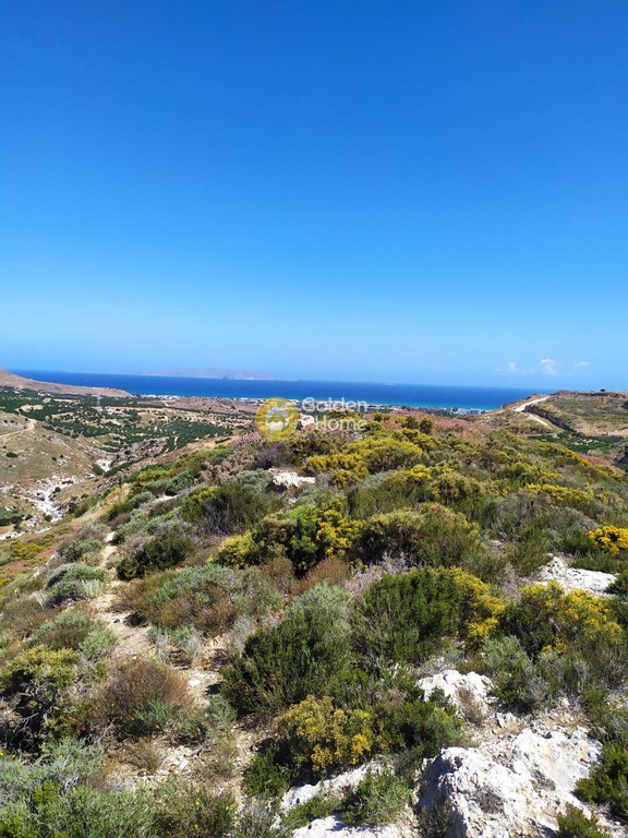 Οικόπεδο 13.000 τ.μ. προς πώληση, Κέντρο Γουβών