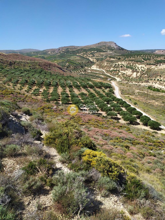 Οικόπεδο 13.000 τ.μ. προς πώληση, Κέντρο Γουβών