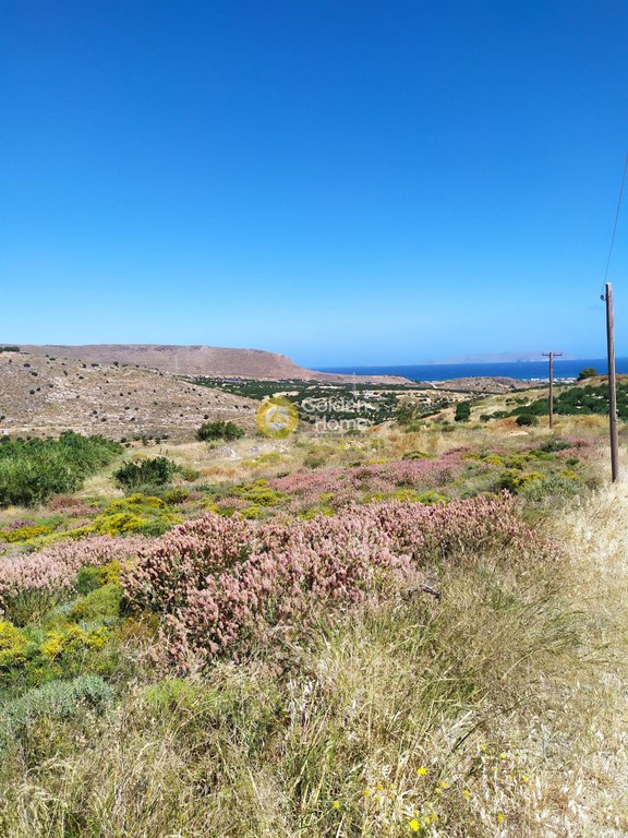 Οικόπεδο 13.000 τ.μ. προς πώληση, Κέντρο Γουβών