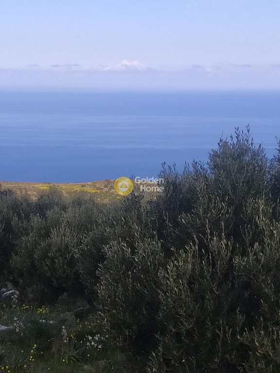 Οικόπεδο 3.238 τ.μ. προς πώληση, Επάνω Λούμας