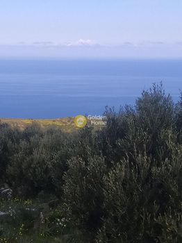 Οικόπεδο 3.238τ.μ. για πώληση-Άγιος νικόλαος » Επάνω λούμας