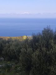 Οικόπεδο 3.238 τ.μ. για πώληση