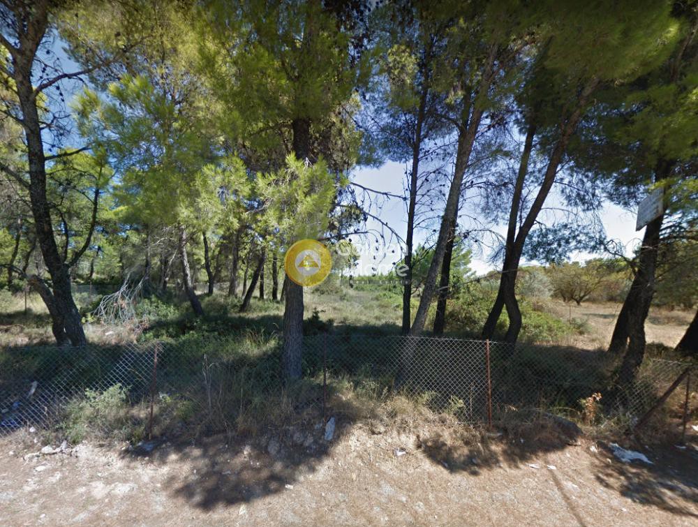 Αγροτεμάχια 4.430 τ.μ. προς πώληση, Βαρυμπόμπη