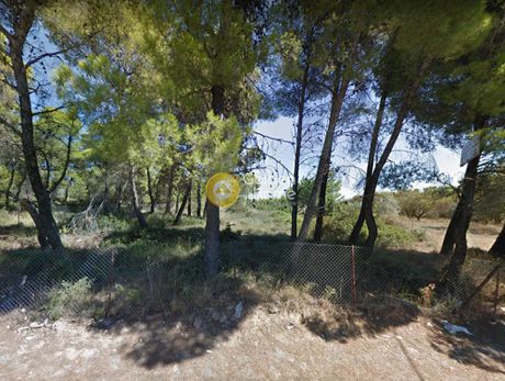 Αγροτεμάχια 4.430 τ.μ. για πώληση