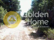 Αγροτεμάχια 6.753 τ.μ. προς πώληση, Φούρκα Κασσάνδρας