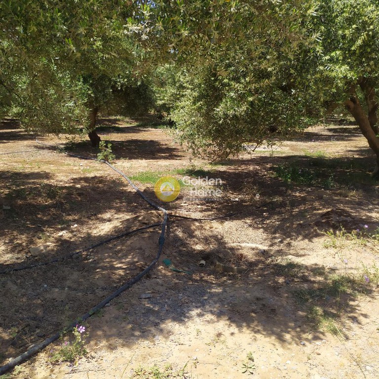 Οικόπεδο 30.000 τ.μ. προς πώληση, Ρουσσοχώρια