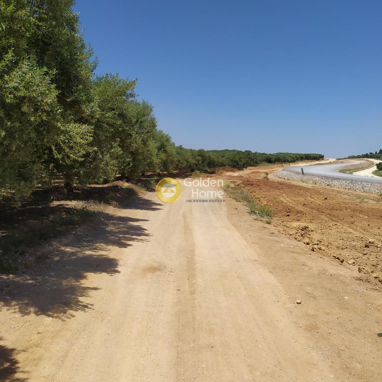 Οικόπεδο 30.000 τ.μ. προς πώληση, Ρουσσοχώρια