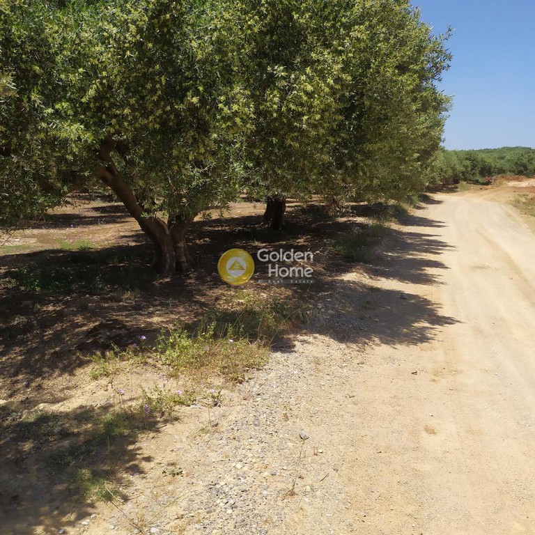 Οικόπεδο 30.000 τ.μ. προς πώληση, Ρουσσοχώρια