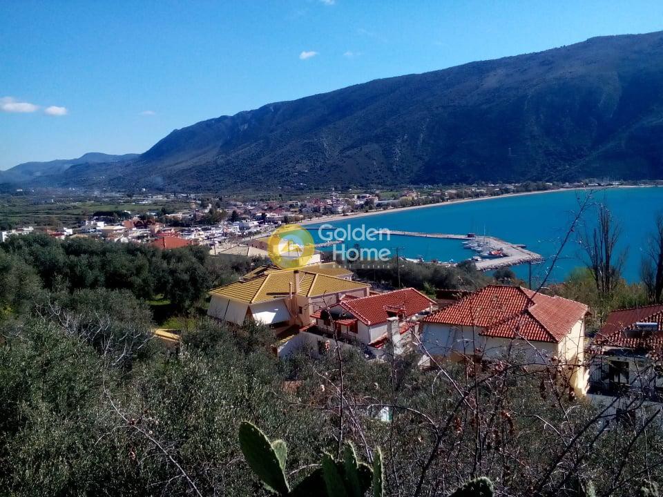 Αγροτεμάχια 23.066 τ.μ. προς πώληση, Αργυρότοπος