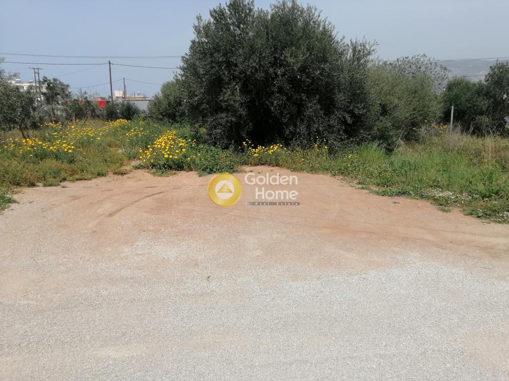 Οικόπεδο 416 τ.μ. προς πώληση, Αγία Άννα Κορίνθου