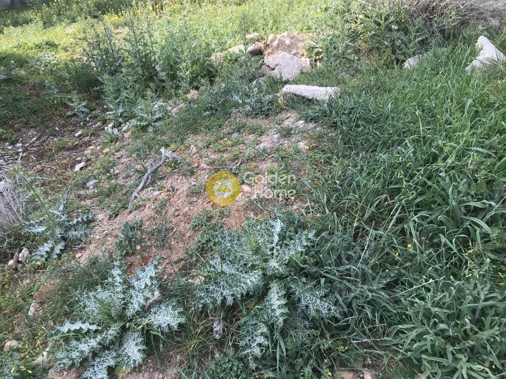 Οικόπεδο 456 τ.μ. προς πώληση, Κέντρο Αναβύσσου