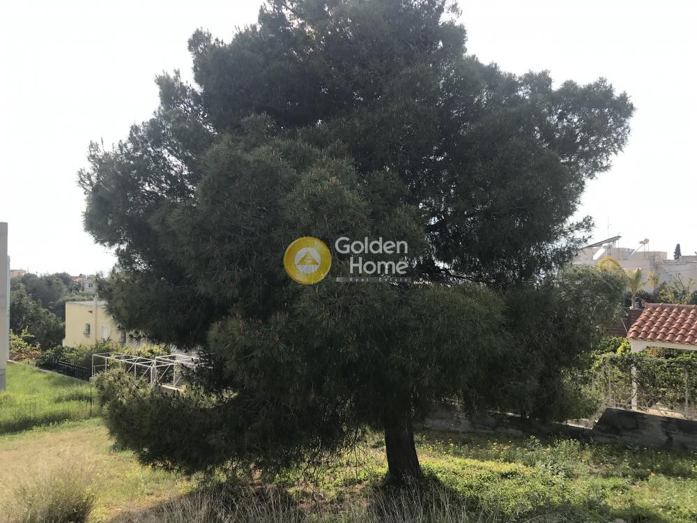 Οικόπεδο 456 τ.μ. προς πώληση, Κέντρο Αναβύσσου
