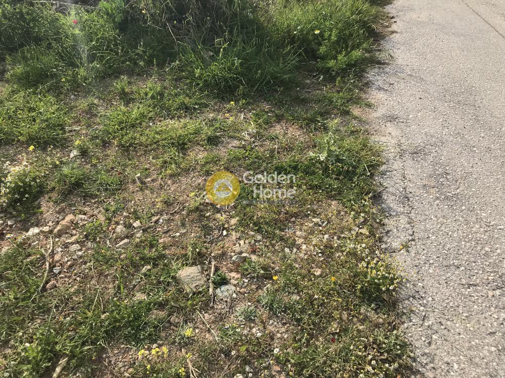 Οικόπεδο 456 τ.μ. προς πώληση, Κέντρο Αναβύσσου