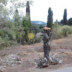 Οικόπεδο 781 τ.μ. για πώληση, Ν. Κέρκυρας, Κέρκυρα-thumb-1
